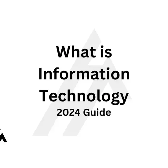 What is Information Technology (2024 Guide)